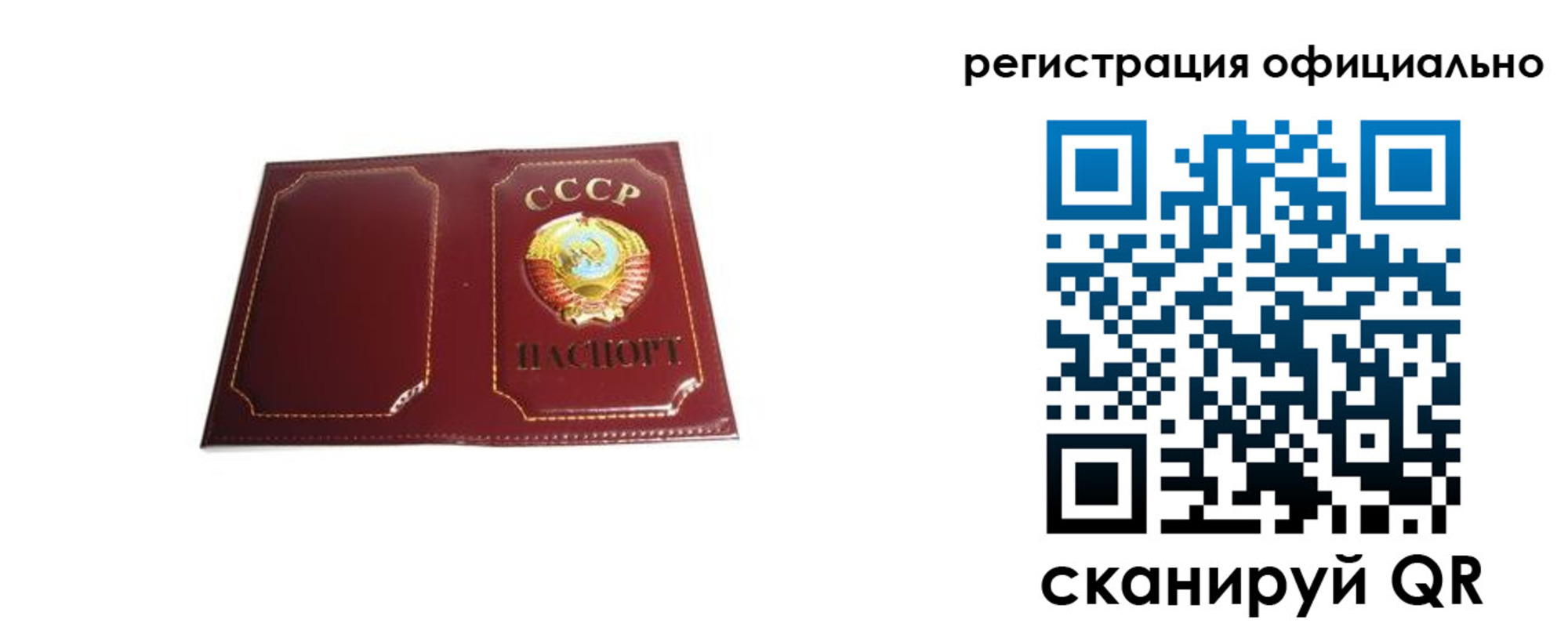 прописка в Шумихе